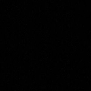 Meet your Posher, Jackson